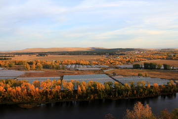 Signs of the times. Large areas of farmland occupied by greenhouses Chinese growers. Village of poplars, Minusinsk district. Krasnoyarsk Krai. Siberia.