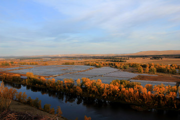 Signs of the times. Large areas of farmland occupied by greenhouses Chinese growers. Village of poplars, Minusinsk district. Krasnoyarsk Krai. Siberia.