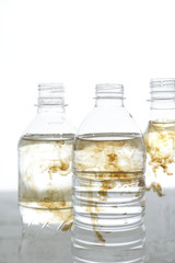 ペットボトルと人間