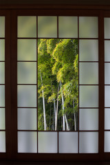 Bamboo Forest Through a Japanese Shoji Screen Window