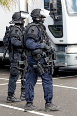 Fototapeta premium GIGN