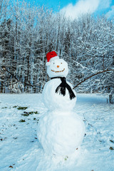 snow man in city park