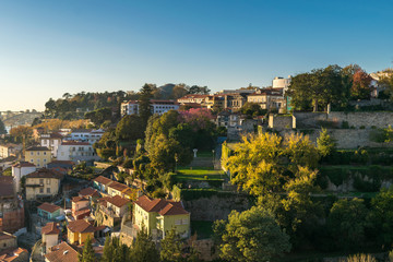 Obraz premium Walking through the parks of Porto, Atlantic Ocean, Portugal, Iberian Peninsula, Europe