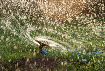 Splashing water from a hose on the lawn