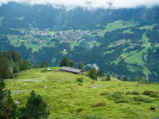 Fototapeta premium Barn on mountain in Interlaken, Switzerland