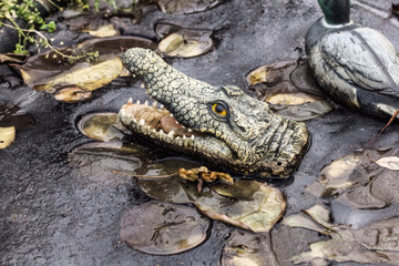 Fake crocodile in ice