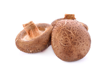 Fresh mushrooms on white background