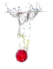 radish in water isolated on white background