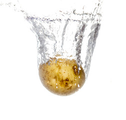 potatoes in water isolated on white background