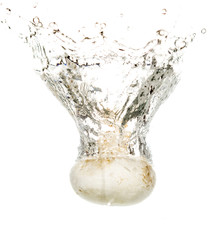 mushrooms champignons in water isolated on white background