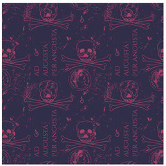 Ad augusta per angusta to rise to a high position overcoming hardships - in latin language for web, textile and print. Vintage historic look.