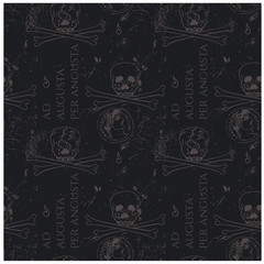 Ad augusta per angusta to rise to a high position overcoming hardships - in latin language for web, textile and print. Vintage historic look.