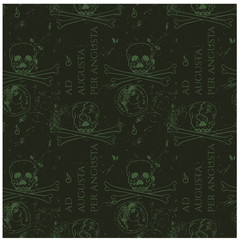 Ad augusta per angusta to rise to a high position overcoming hardships - in latin language for web, textile and print. Vintage historic look.