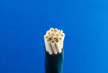 Cross section of control cable, Macro