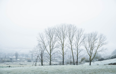 Fototapeta premium snowy landscape
