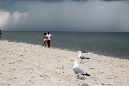 Sandstrand mit Meer und dramatisch dunklen Regenwolken mit zwei Silberm&ouml;wen im Vordergrund und Paar in Badebekleidung im Mittelgrund .Where: Sylt, Nordseestrand.When: 26.07.2014.