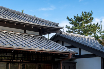日本の古民家　青空と松の木１