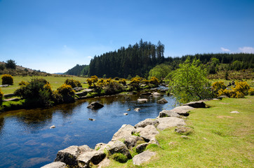 Fototapeta na wymiar Bellever Forest And Dart River on Dartmoor National Park in Devon, England