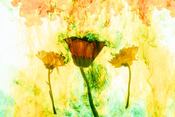 close up view of flowers and yellow paint splashes