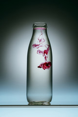 close up view of pink paint splash in bottle of water