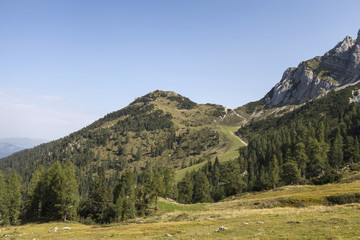 Obraz premium Landschaft in Kärnten
