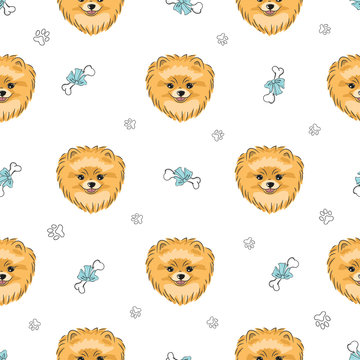 Seamless pattern with cute pomeranian dog. Vector background with hand drawn puppies.