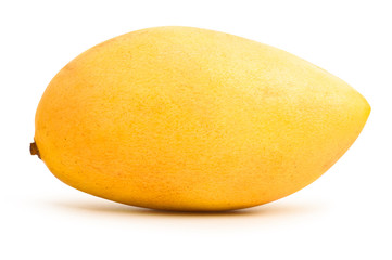 Mango fruit isolated