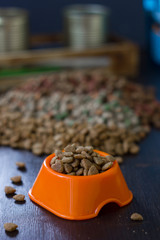 Dry cat or dog food in a orange bowl.