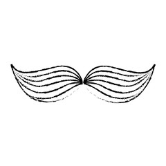 mexican mustache isolated icon vector illustration design