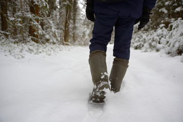 Walk through the snow-covered forest