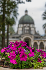 Flowers with temple of beatitudes