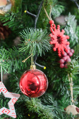 Red christmas ball on the christmas tree.