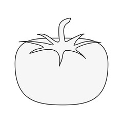 Fresh tomato vegetable