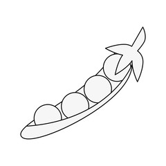 Fresh peas vegetable