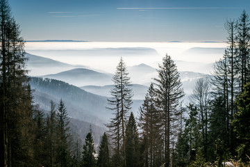 View on the small hills in mist in winter complete view