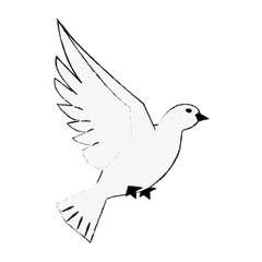 Dove bird symbol