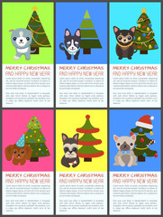 Fototapeta premium Merry Christmas and Happy New Year Pets and Spruce