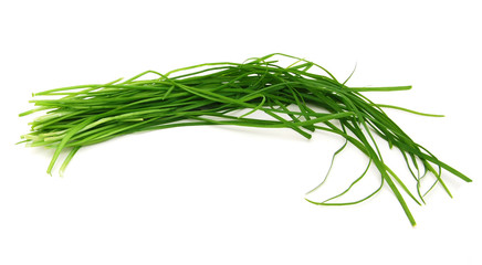 Fototapeta premium Grass plant on white 