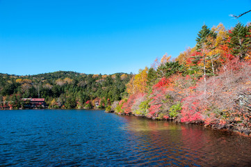 湖畔の紅葉