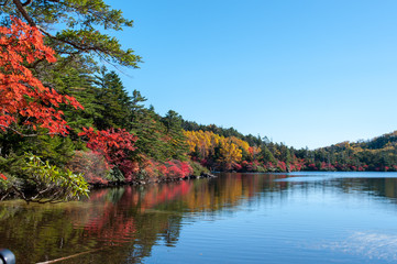 池の紅葉