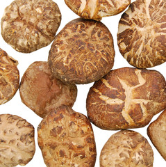 Dried mushrooms isolated on a white background