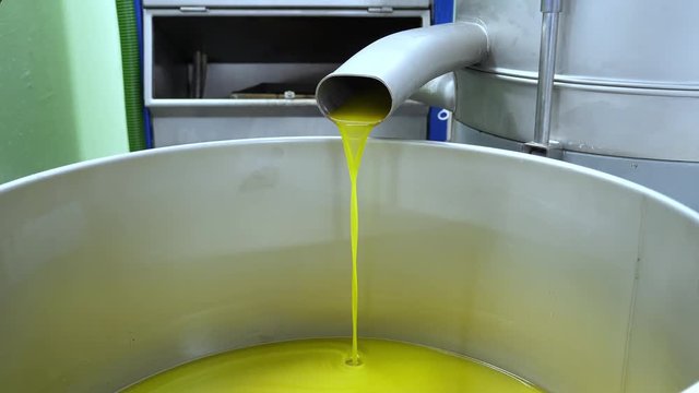 Oil mill - Process of production of extra virgin olive, 4K.