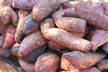 Sweet potato at street food