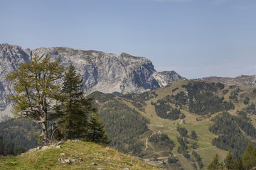 Fototapeta premium Landschaft in Kärnten