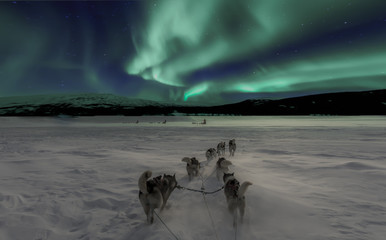 Christmas dogsled and Polarlight Norway