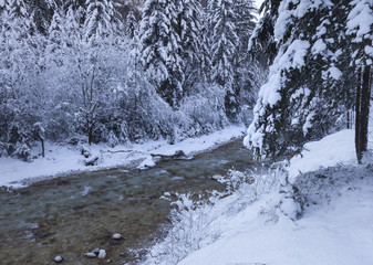 Winterlandschaft in Slowenien