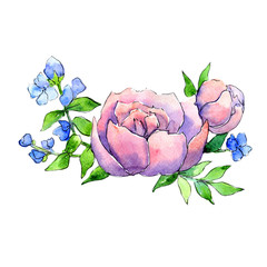 Flower composition in a watercolor style isolated. Full name of the plant:  peony,orchid. Aquarelle wild flower for background, texture, wrapper pattern, frame or border.