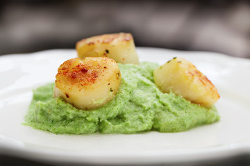 Cooked scallops with vegetable mashed potatoes on a white plate. A ready-made dietary dish. Freshly prepared scallops with a garnish of broccoli cabbage. Selective focus.