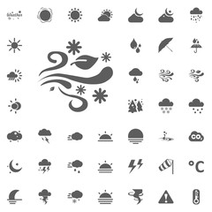 Naklejka premium Wind and snow flakes icon. Weather vector icons set