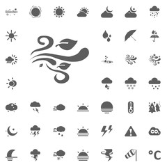Wind and leaves icon. Weather vector icons set